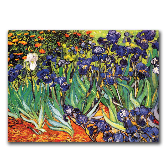 Vincent van Gogh, Irises at Saint-Remy 14 x 19 Canvas Art Image 1