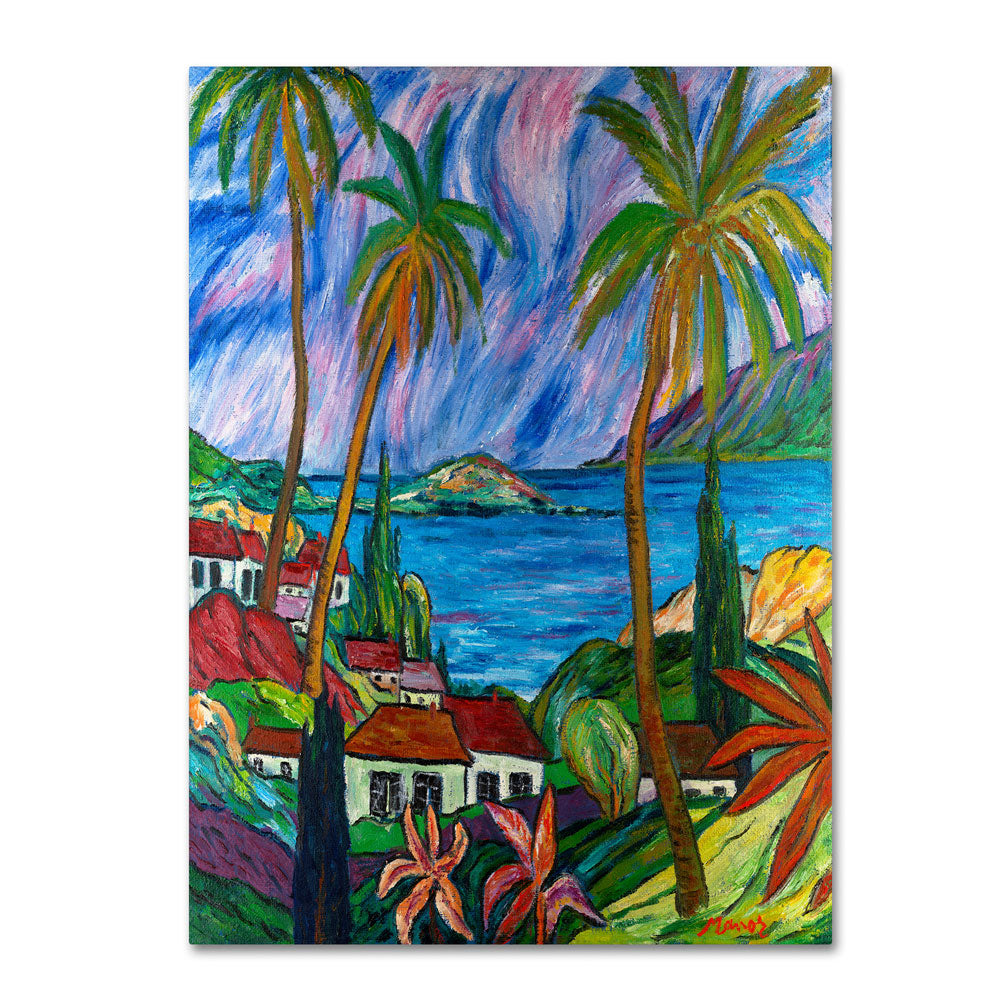 Manor Shadian Tropical Paradise 14 x 19 Canvas Art Image 1