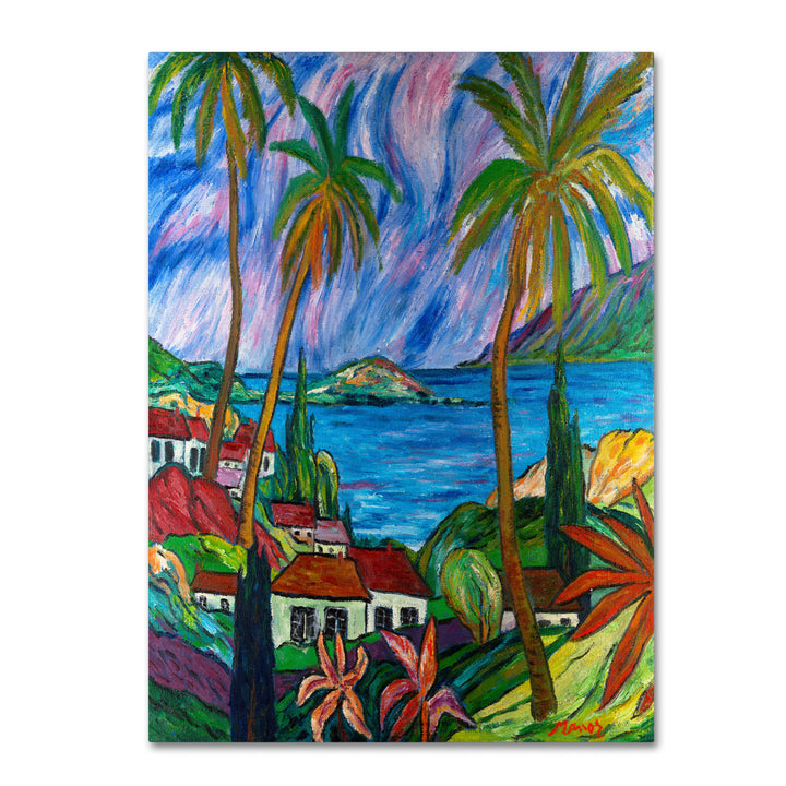 Manor Shadian Tropical Paradise 14 x 19 Canvas Art Image 2