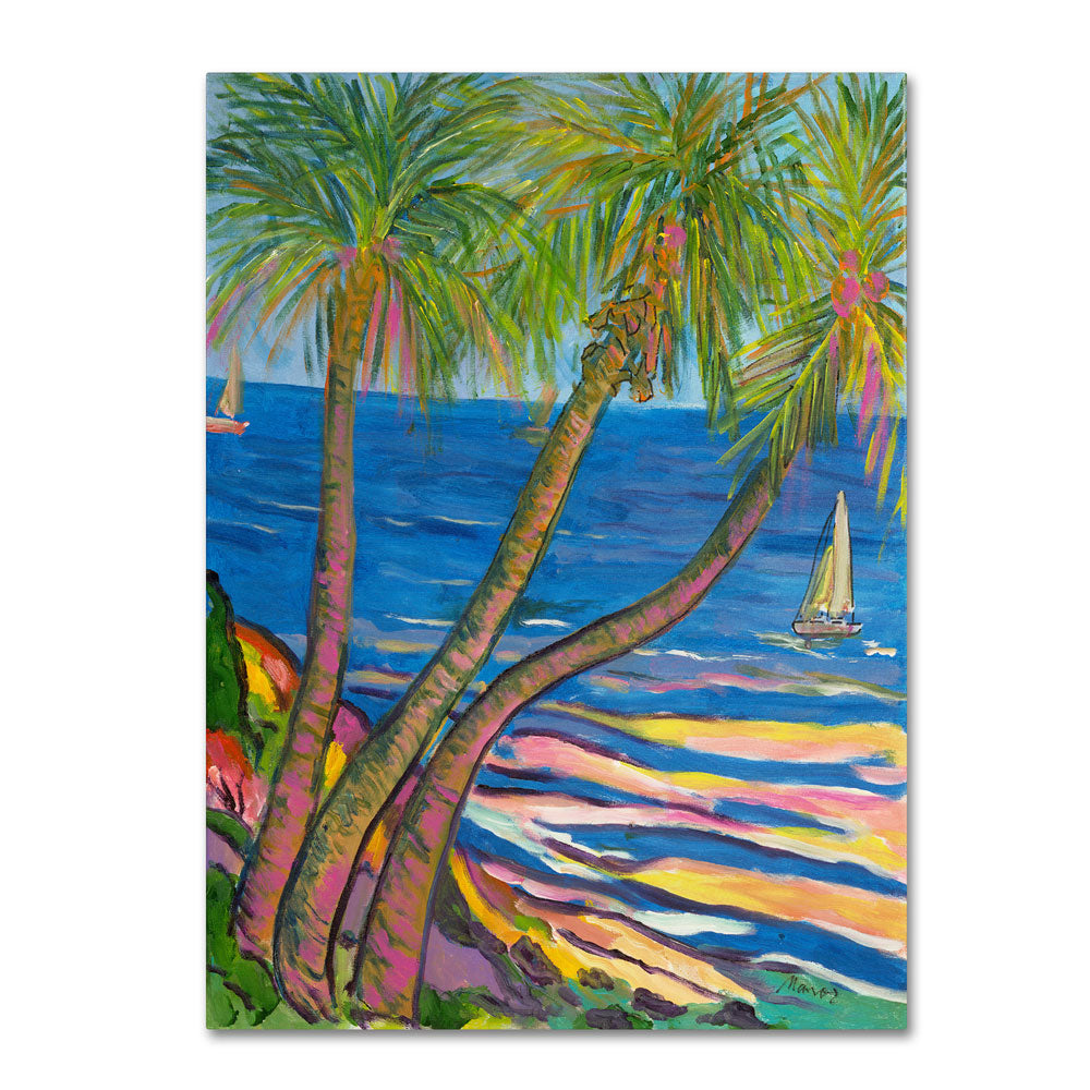 Manor Shadian Three Coconut Palms 14 x 19 Canvas Art Image 1