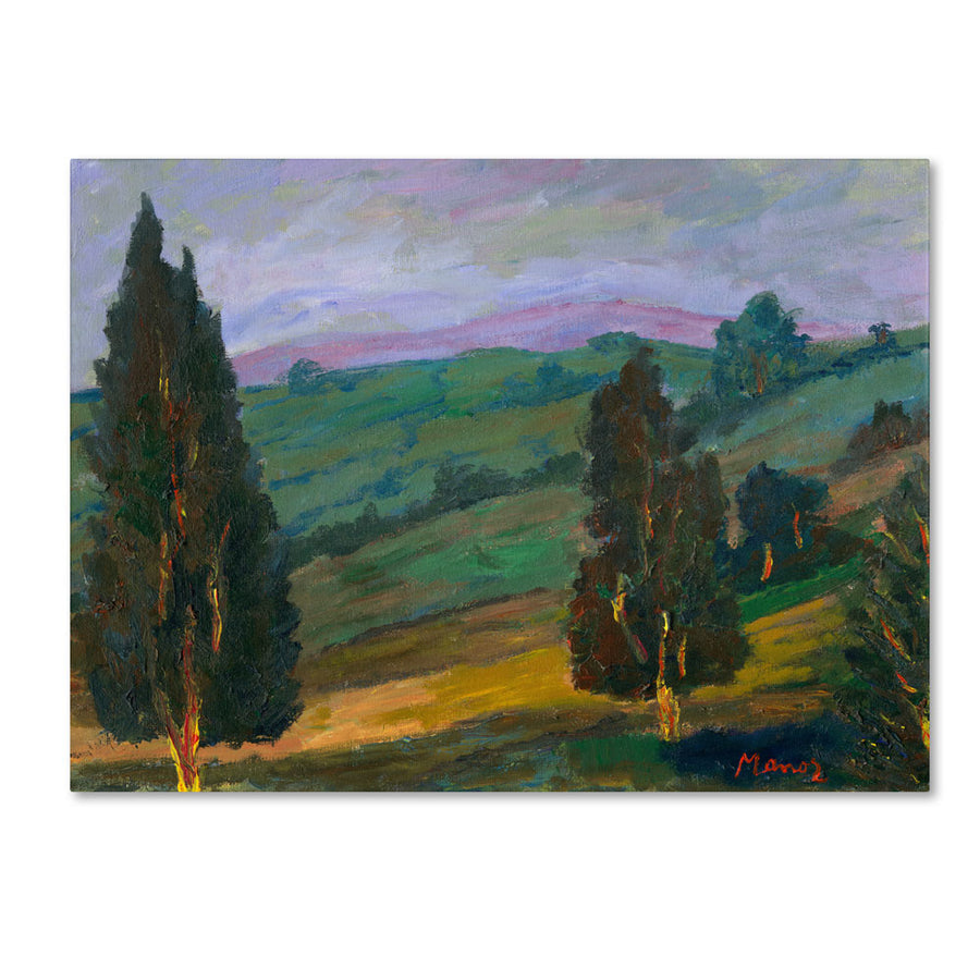 Manor Shadian Evergreens on a Green Slope 14 x 19 Canvas Art Image 1