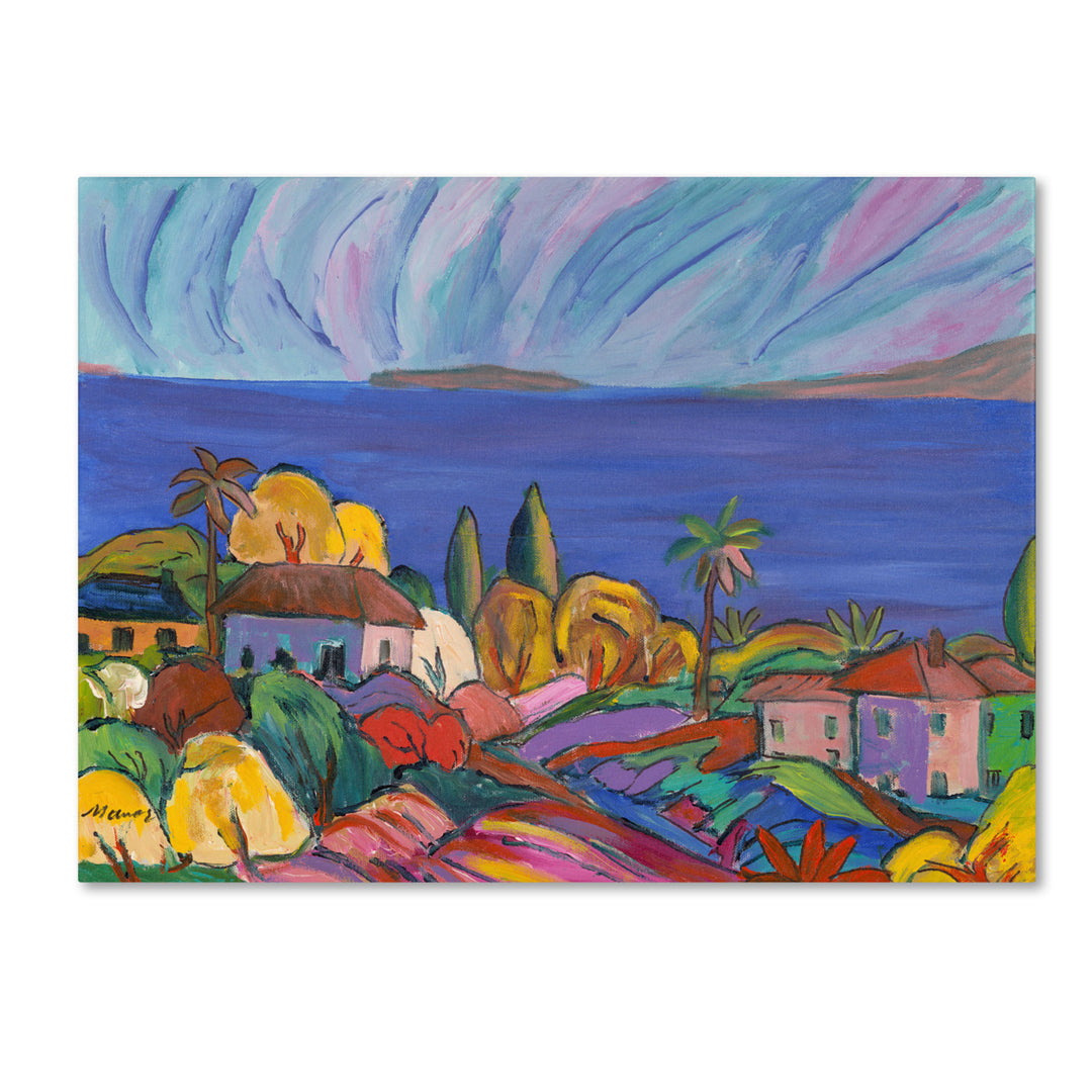 Manor Shadian Kihei Shore 14 x 19 Canvas Art Image 2