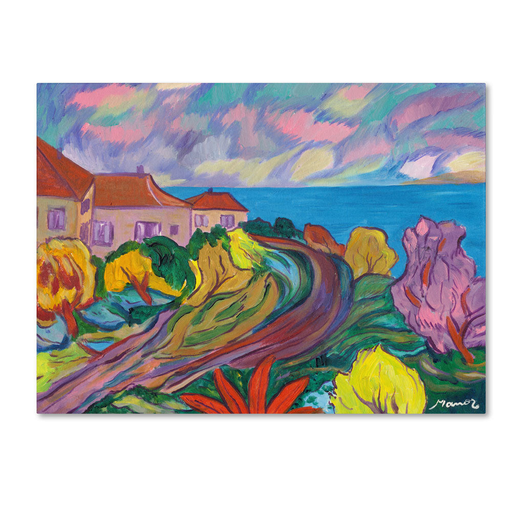 Manor Shadian Winding Path by Ocean 14 x 19 Canvas Art Image 1