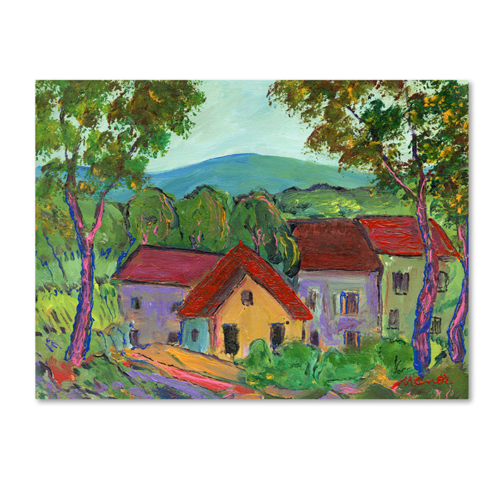 Manor Shadian Rainbow Home 14 x 19 Canvas Art Image 1