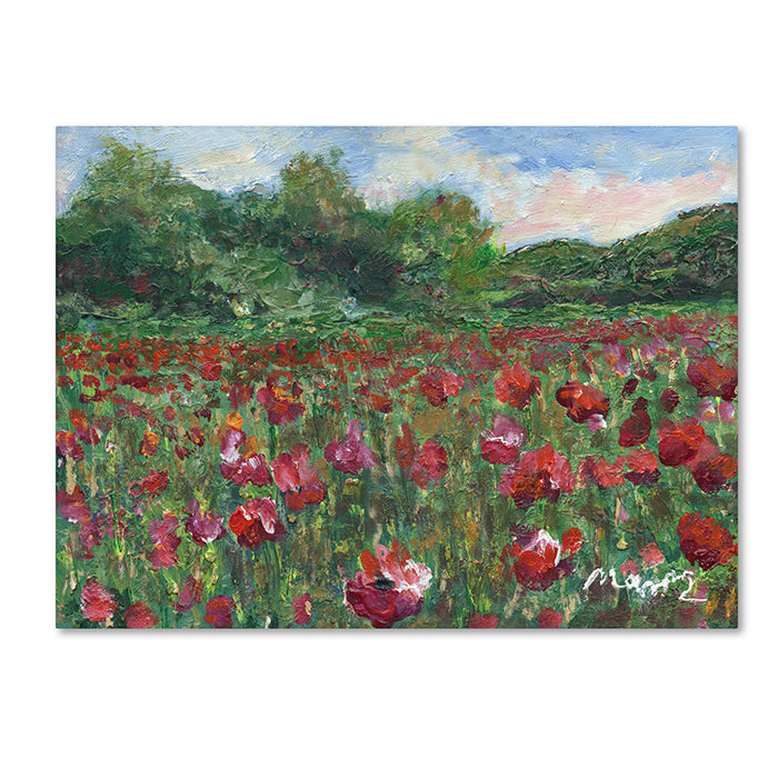 Manor Shadian Poppy Field Wood 14 x 19 Canvas Art Image 1