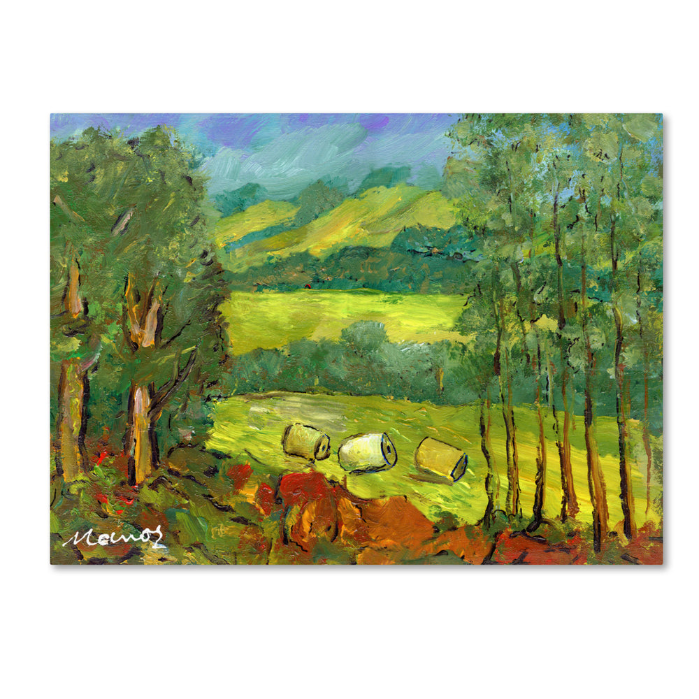 Manor Shadian Balds in the Field 14 x 19 Canvas Art Image 2