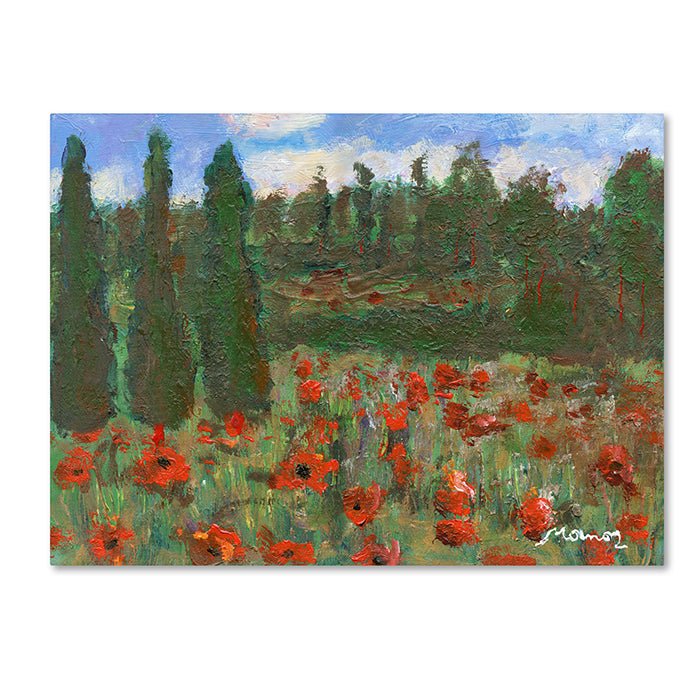 Manor Shadian Red Poppies in the Wood 14 x 19 Canvas Art Image 1