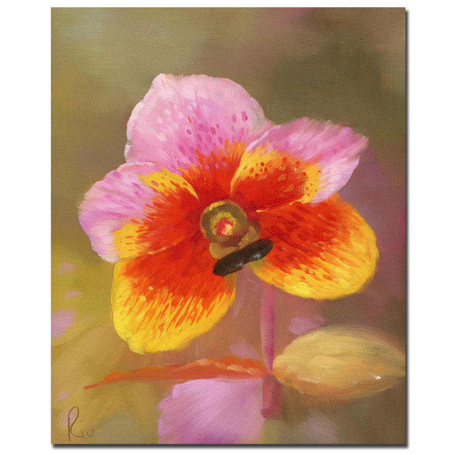 Orange-Pink Orchid 14 x 19 Canvas Art Image 1