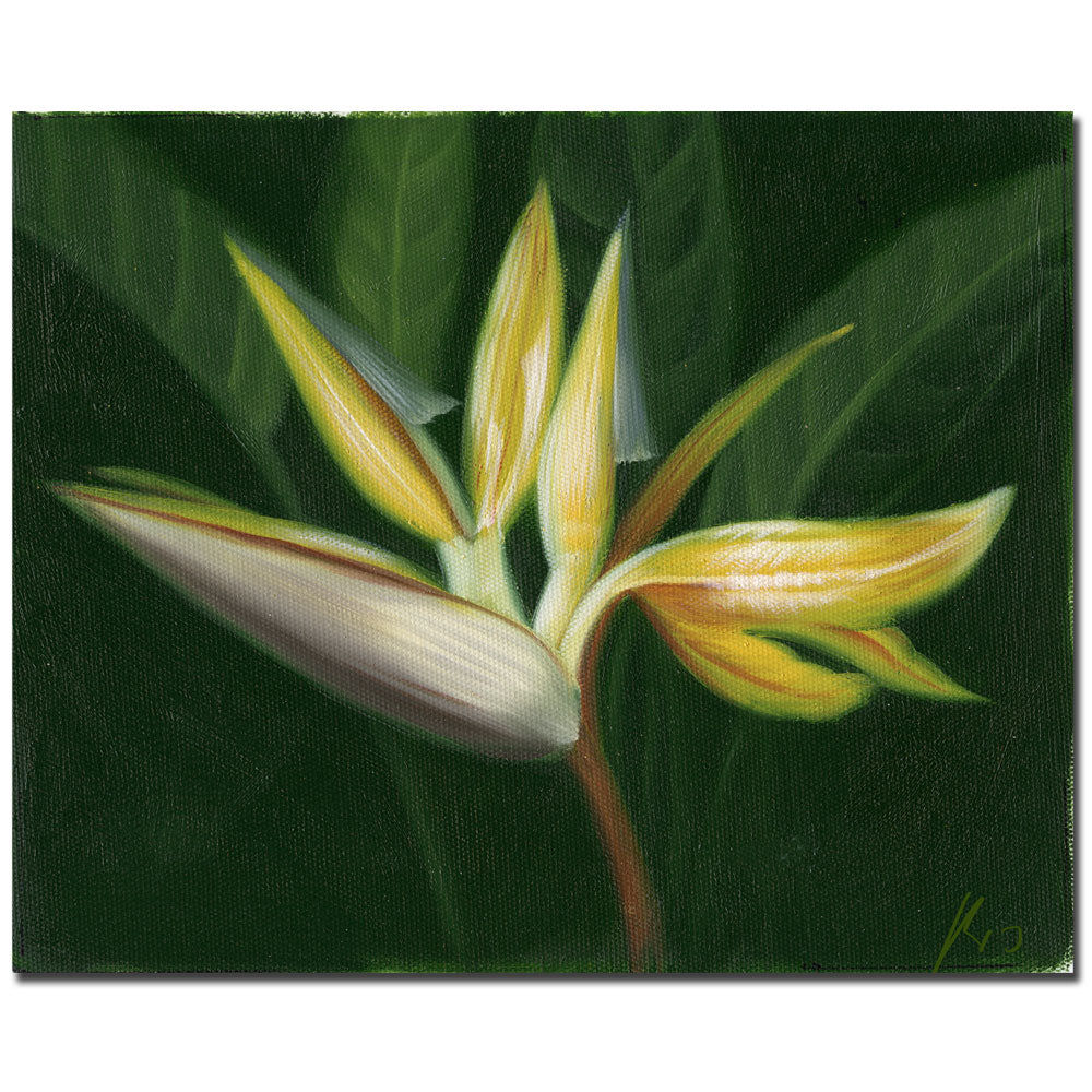 Lilies 14 x 19 Canvas Art Image 1