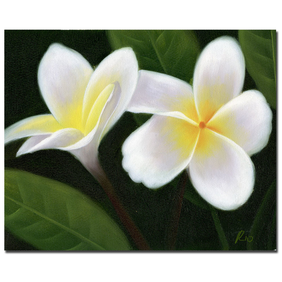 Hawaiian Lei Flowers 14 x 19 Canvas Art Image 1