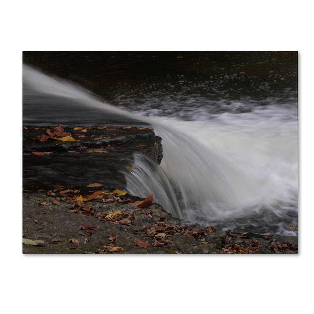 Monica Fleet Cascading Fury 14 x 19 Canvas Art Image 1