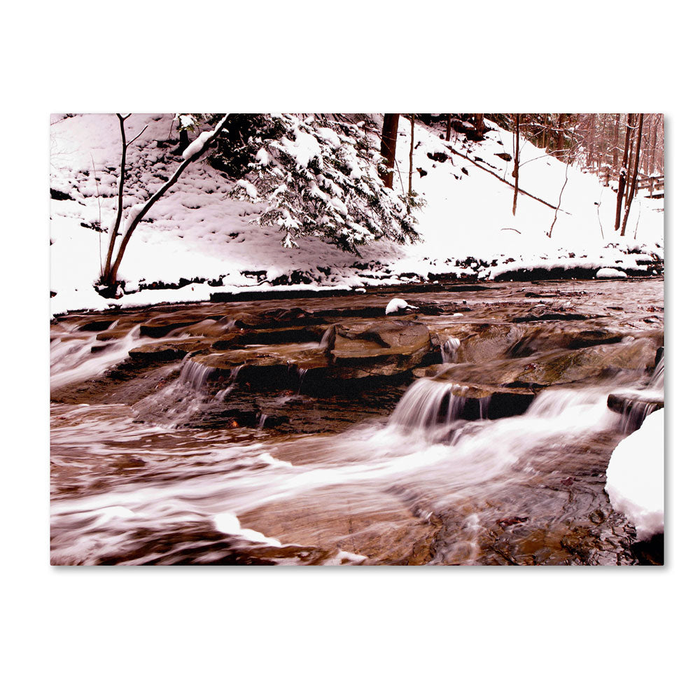 Monica Fleet Cold Warmth 14 x 19 Canvas Art Image 1