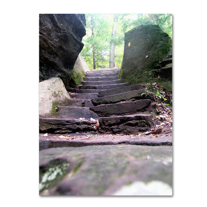 Monica Fleet Endless Stairway 14 x 19 Canvas Art Image 1