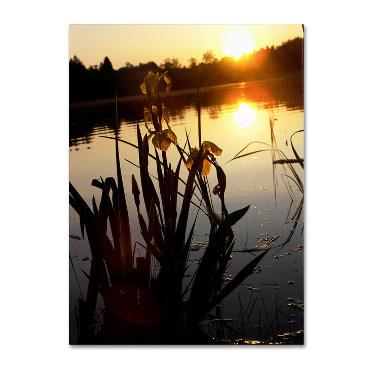 Monica Fleet Reflective Strength 14 x 19 Canvas Art Image 1