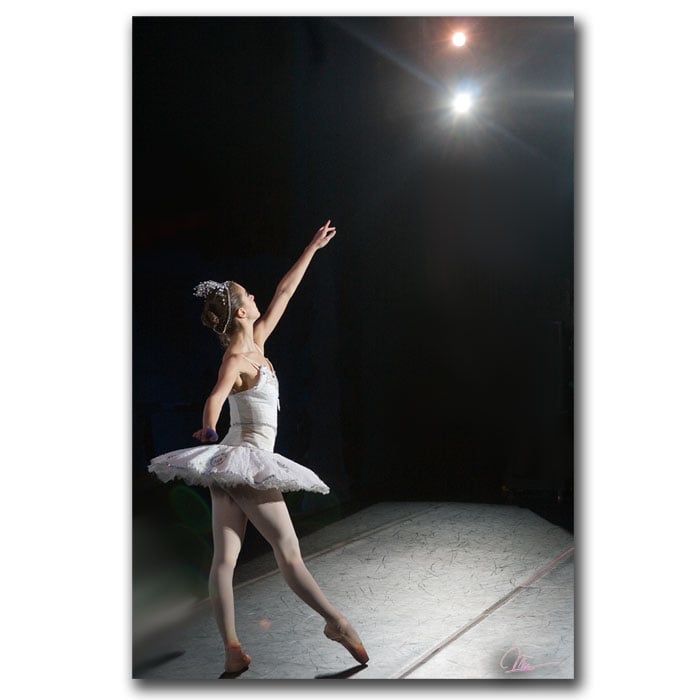 Martha Guerra Ballerina 14 x 19 Canvas Art Image 1