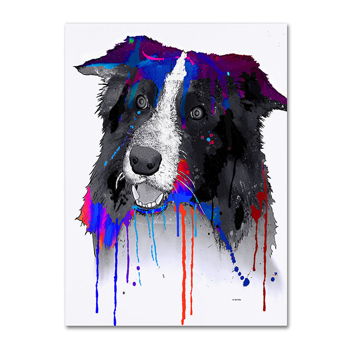 Marlene Watson Border Collie 14 x 19 Canvas Art Image 1