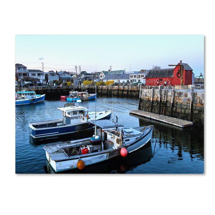 CATeyes Boston 7 14 x 19 Canvas Art Image 1