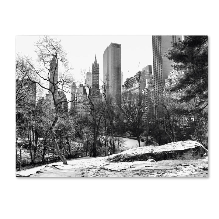 CATeyes Central Park 14 x 19 Canvas Art Image 1