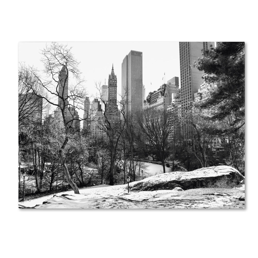 CATeyes Central Park 14 x 19 Canvas Art Image 2