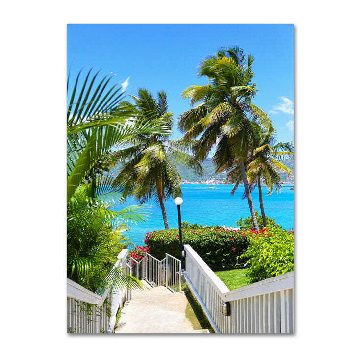 CATeyes Virgin Islands 3 14 x 19 Canvas Art Image 2