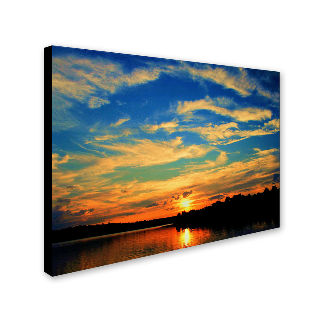 CATeyes Touch the Wind 14 x 19 Canvas Art Image 2