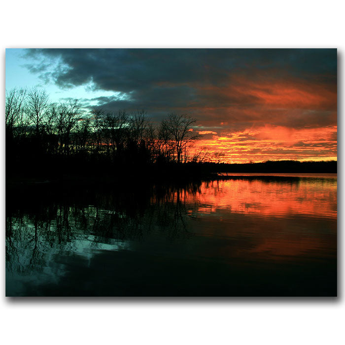 CATeyes Life 14 x 19 Canvas Art Image 1