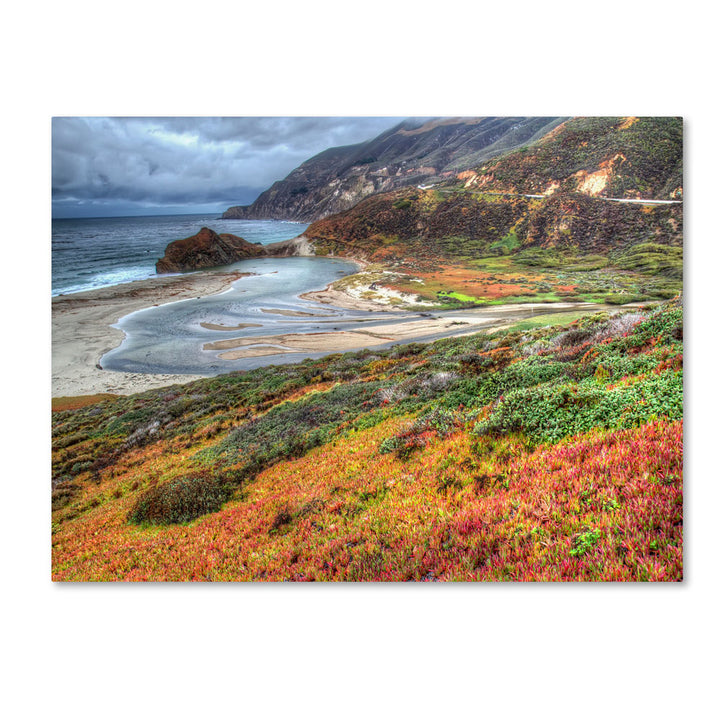 Pierre Leclerc Bigsur California 14 x 19 Canvas Art Image 1