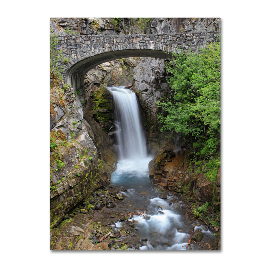 Pierre Leclerc Christine Falls Rainier 14 x 19 Canvas Art Image 1