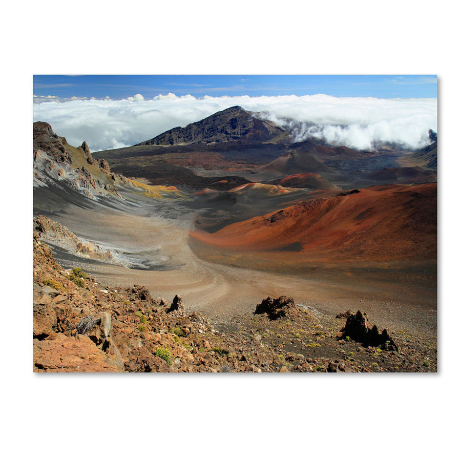 Pierre Leclerc Haleakala Maui 14 x 19 Canvas Art Image 1