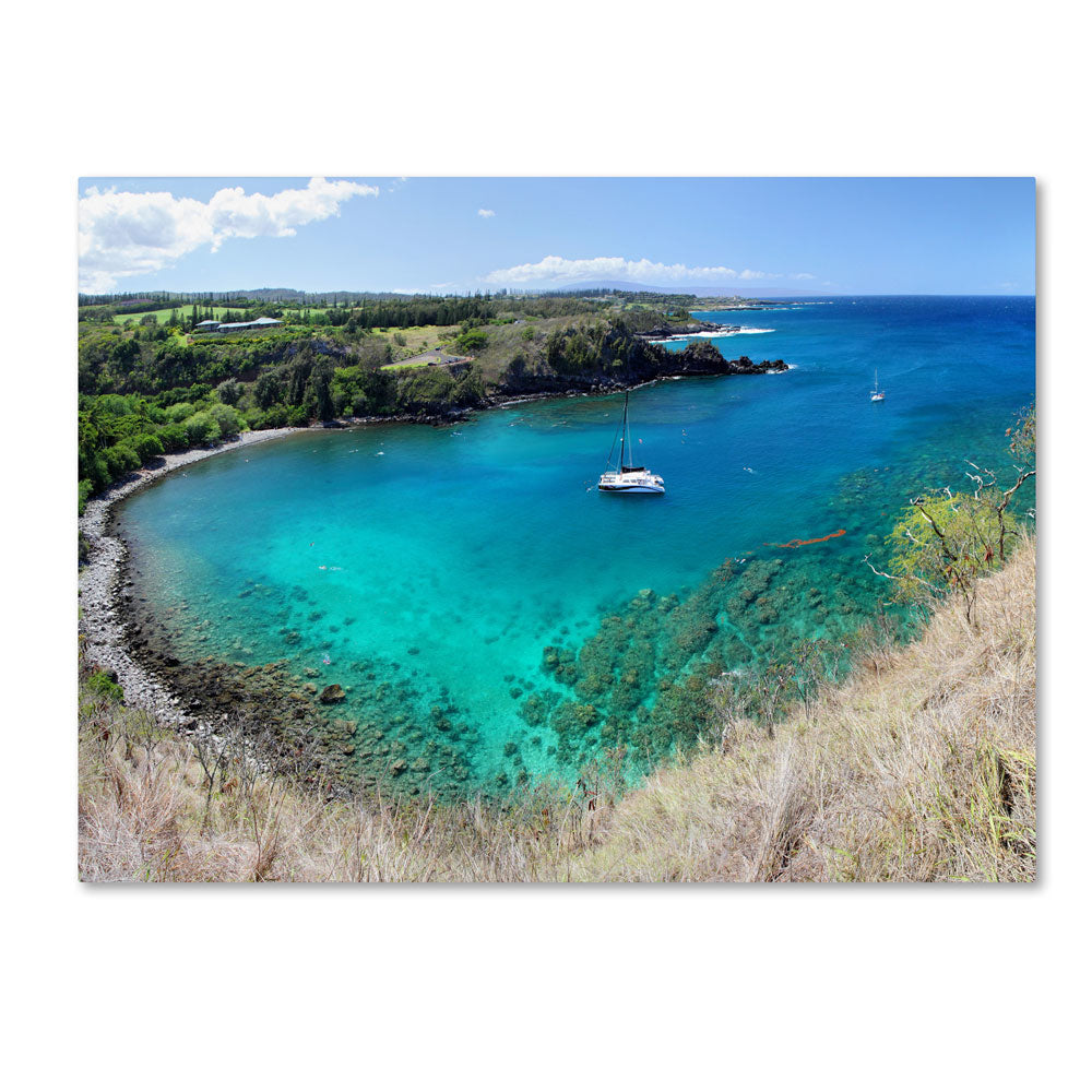 Pierre Leclerc Honolua Bay 14 x 19 Canvas Art Image 1