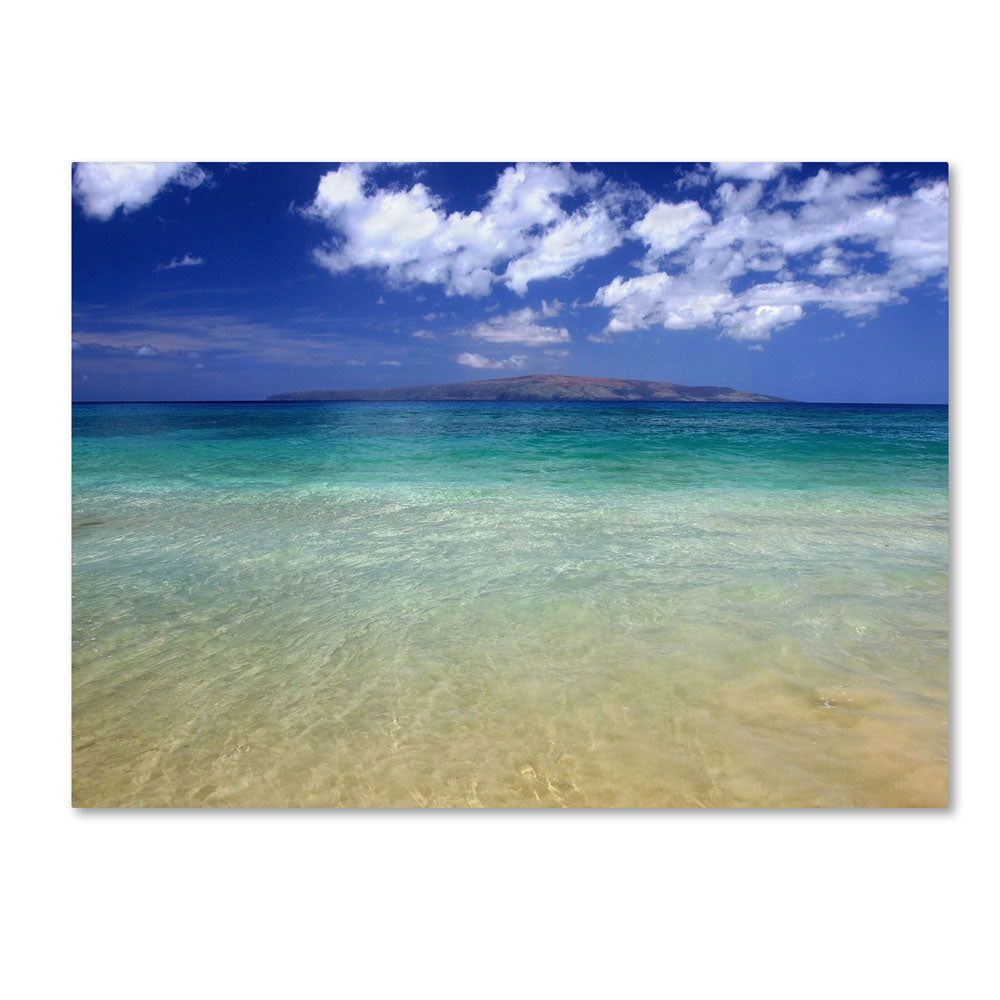 Pierre Leclerc Hawaii Blue Beach 14 x 19 Canvas Art Image 1