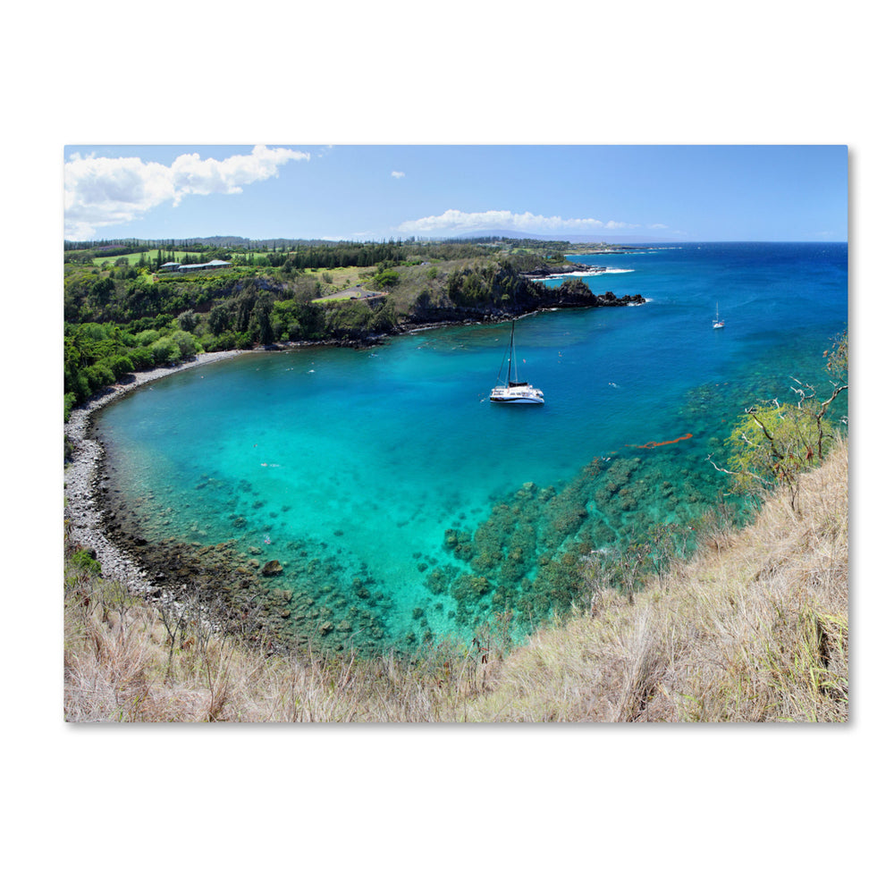 Pierre Leclerc Honolua Bay 14 x 19 Canvas Art Image 2