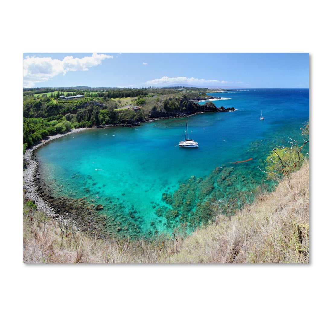 Pierre Leclerc Honolua Bay 14 x 19 Canvas Art Image 2