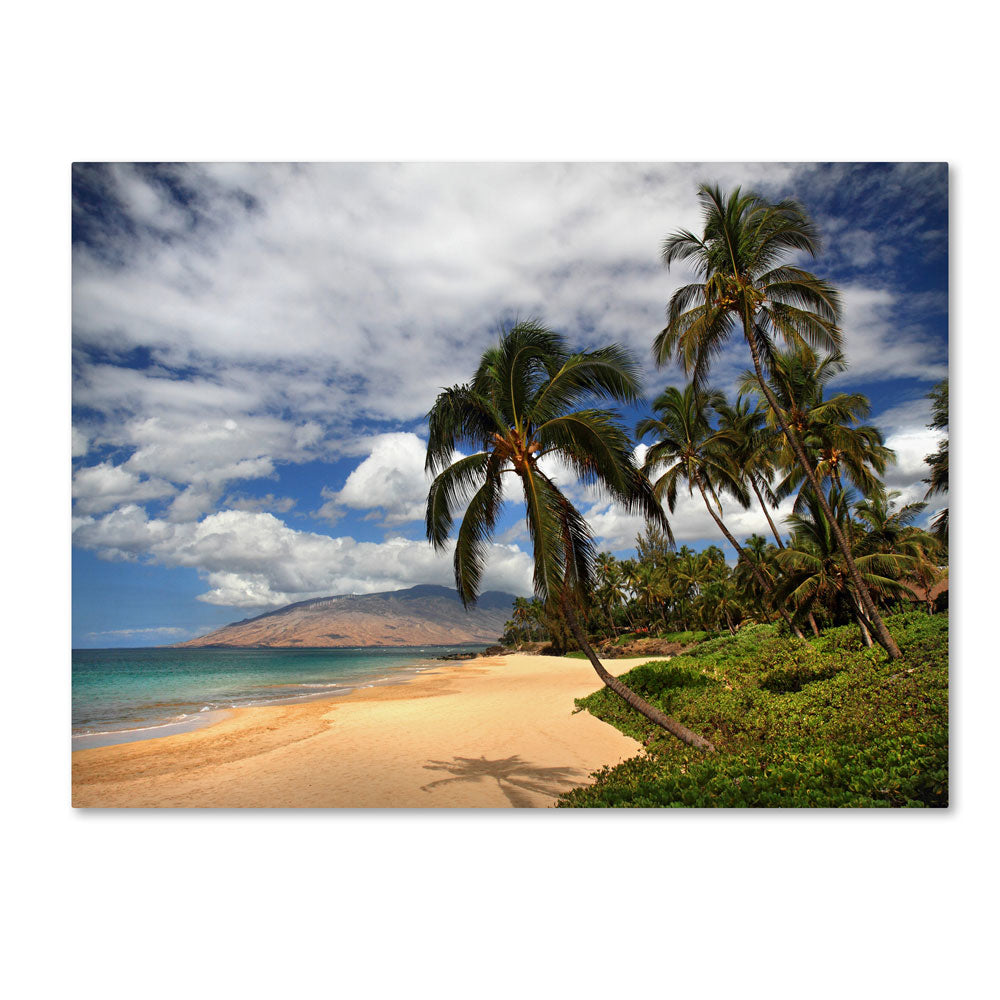 Pierre Leclerc Kamaole Tropical 14 x 19 Canvas Art Image 1