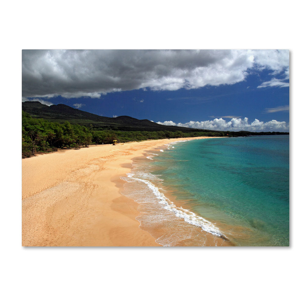 Pierre Leclerc Makena Maui 14 x 19 Canvas Art Image 1