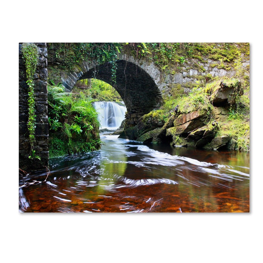 Pierre Leclerc Lush River 14 x 19 Canvas Art Image 1