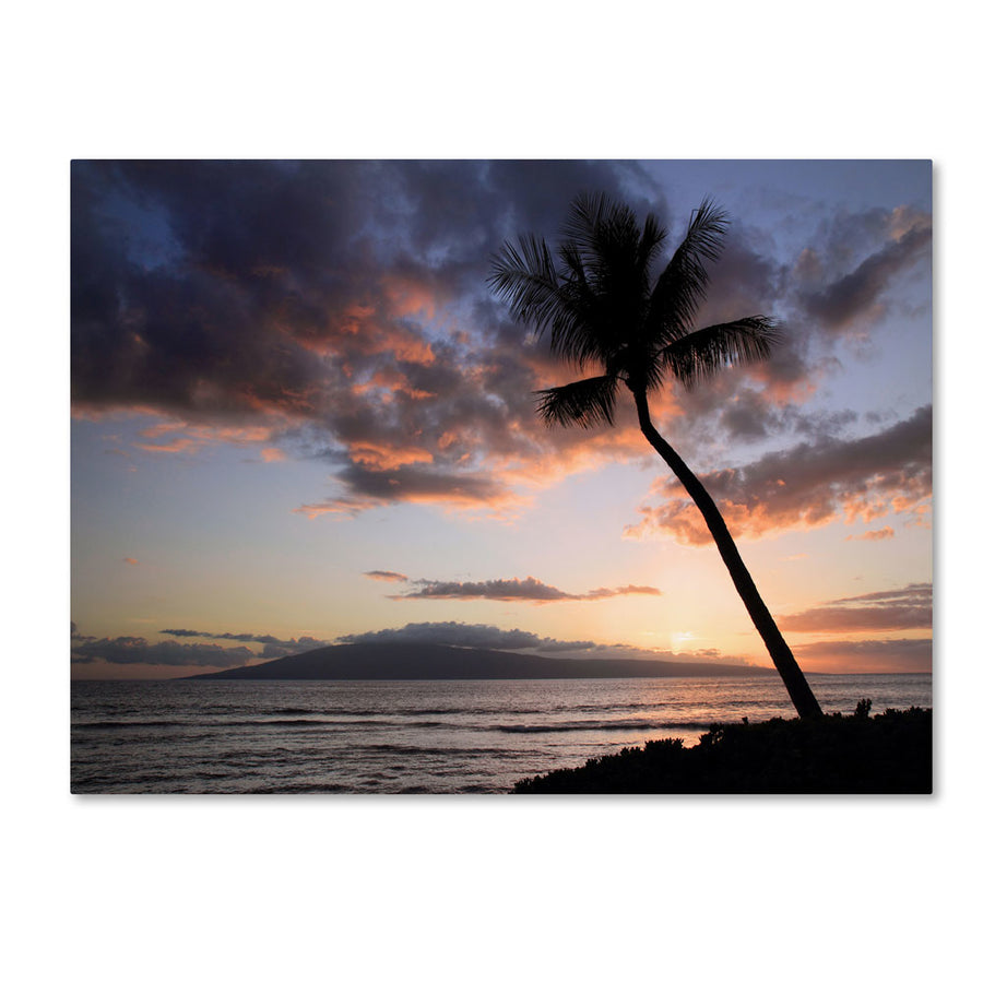 Pierre Leclerc Palm Tree Maui 14 x 19 Canvas Art Image 1