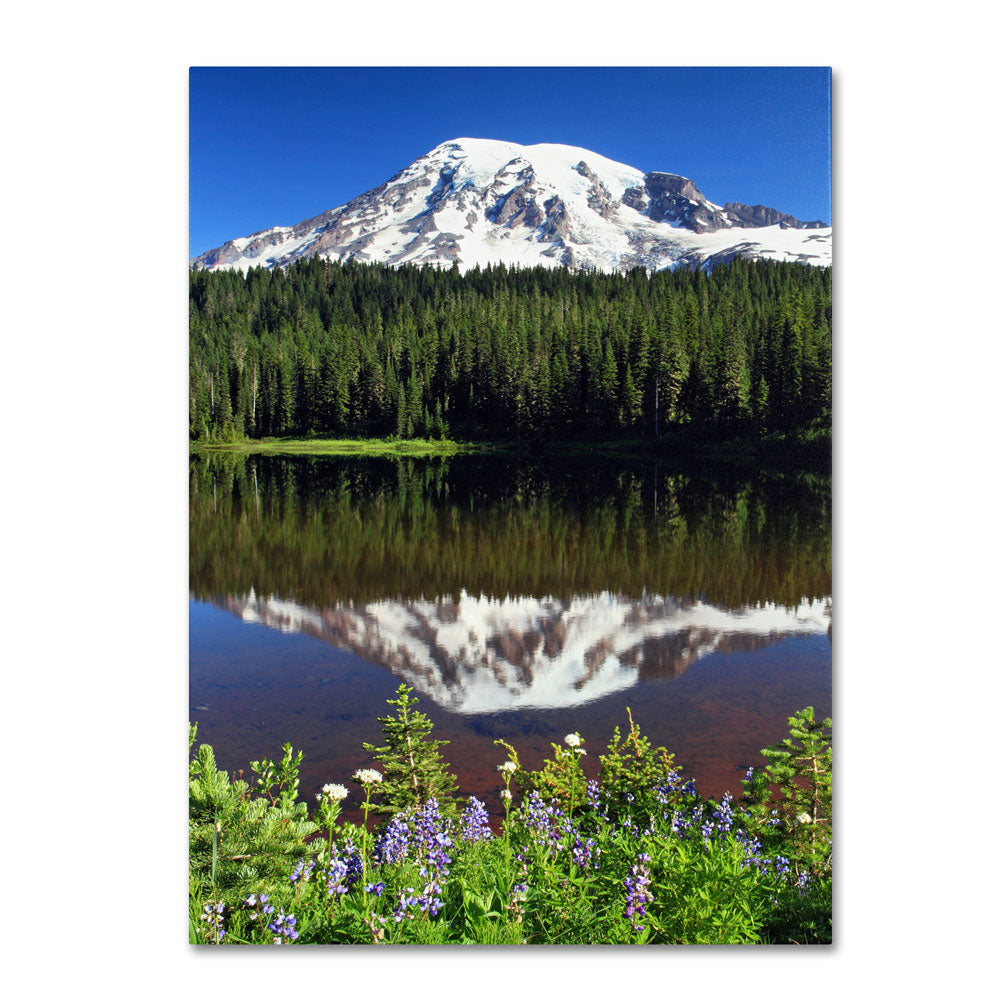 Pierre Leclerc Rainier Wildflowers 14 x 19 Canvas Art Image 1