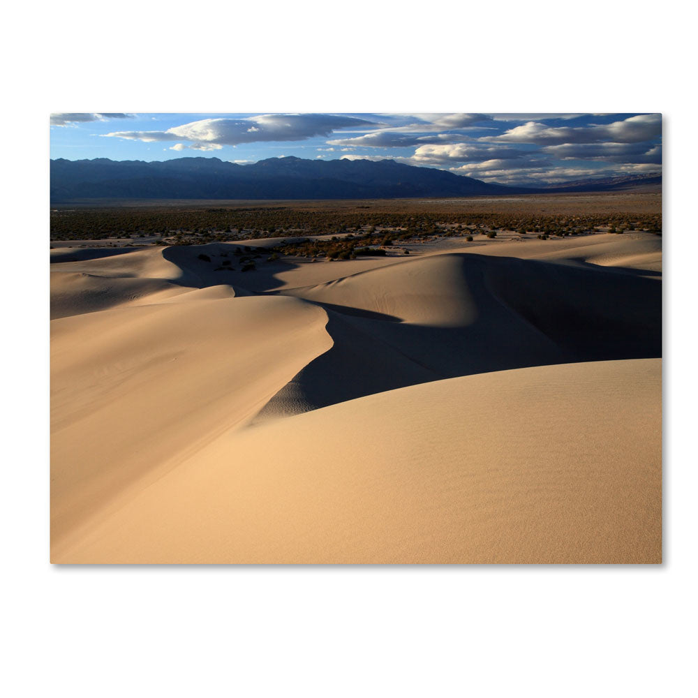 Pierre Leclerc Sand Dunes 14 x 19 Canvas Art Image 1