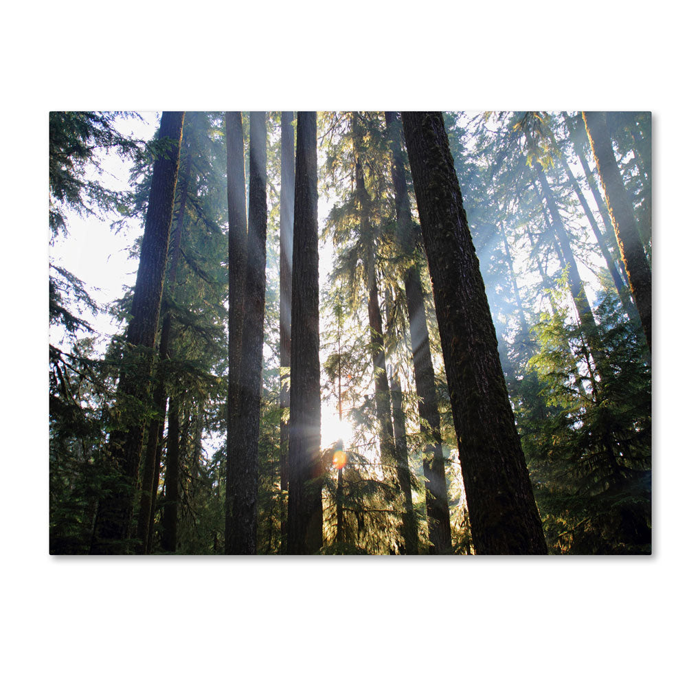 Pierre Leclerc Sunrays 14 x 19 Canvas Art Image 1