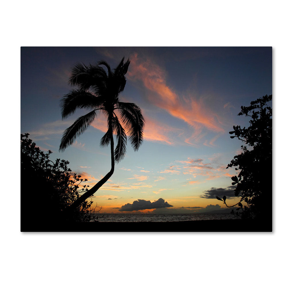 Pierre Leclerc Tropical Sunset 14 x 19 Canvas Art Image 1