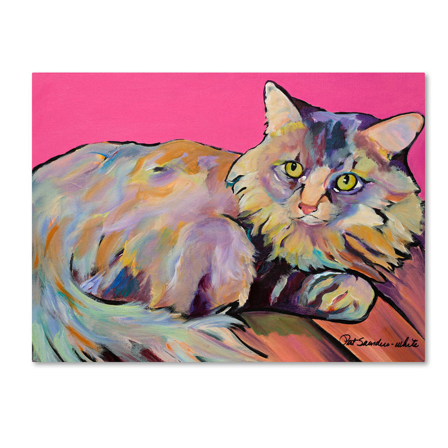 Pat Saunders Catatonic 14 x 19 Canvas Art Image 1