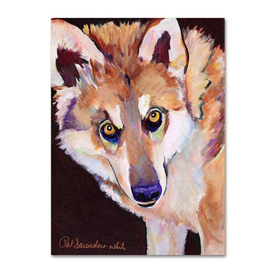 Pat Saunders Night Eyes 14 x 19 Canvas Art Image 1