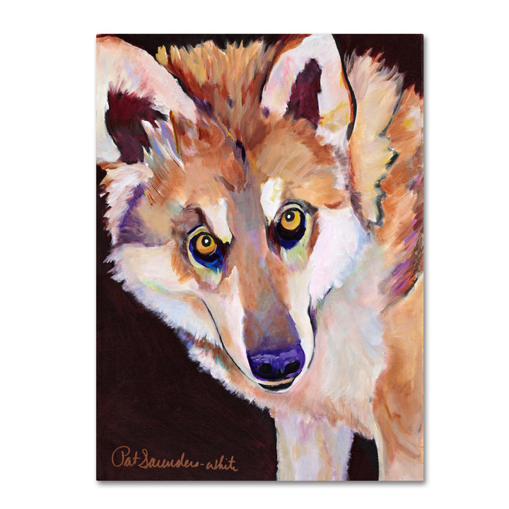 Pat Saunders Night Eyes 14 x 19 Canvas Art Image 2