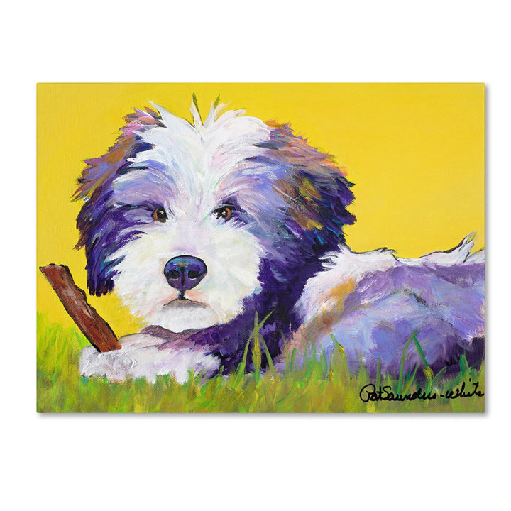 Pat Saunders-White Chew Stick 14 x 19 Canvas Art Image 1