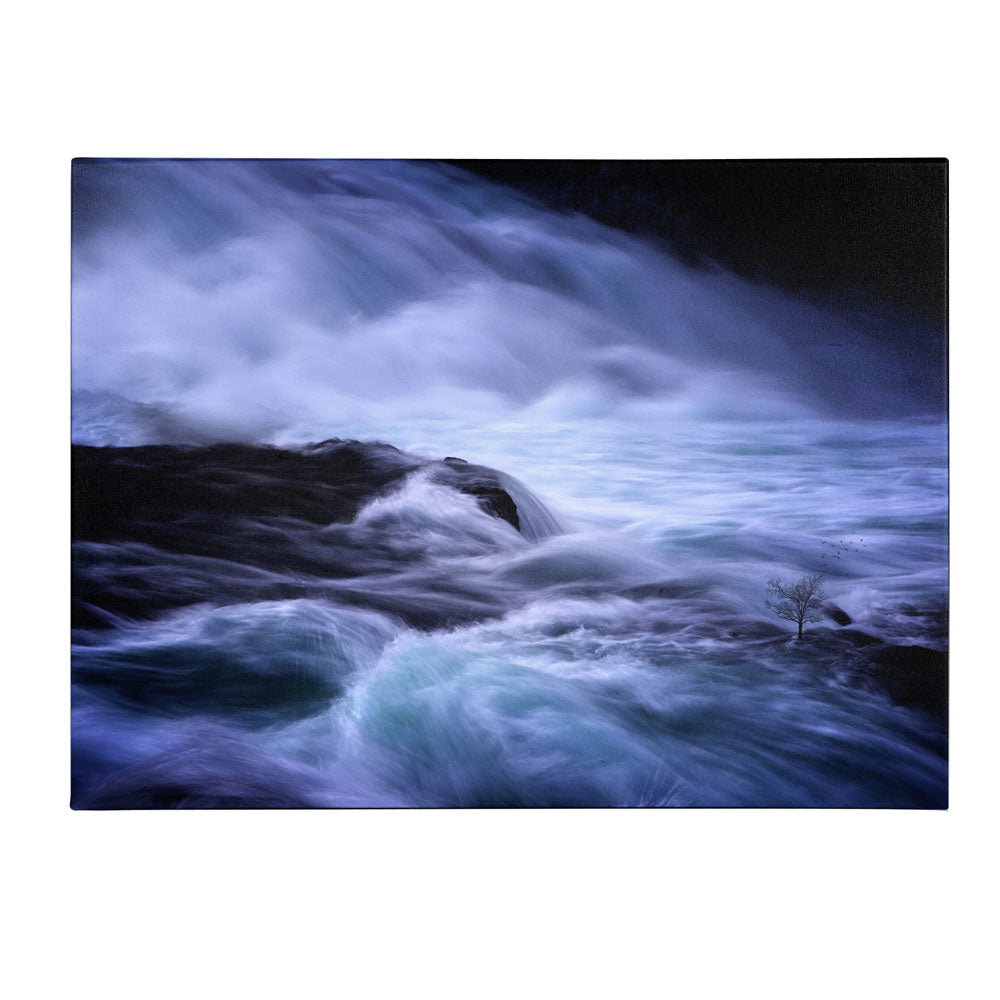 Philippe Sainte-Laudy Distractions 14 x 19 Canvas Art Image 1