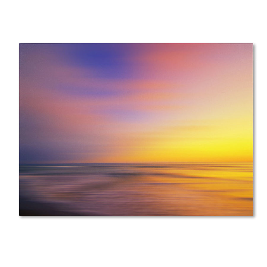 Philippe Sainte-Laudy Metallic Sunset 14 x 19 Canvas Art Image 1