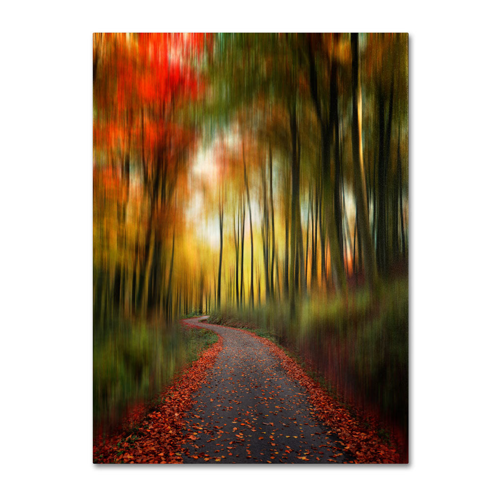 Philippe Sainte-Laudy The Lost Path 14 x 19 Canvas Art Image 1