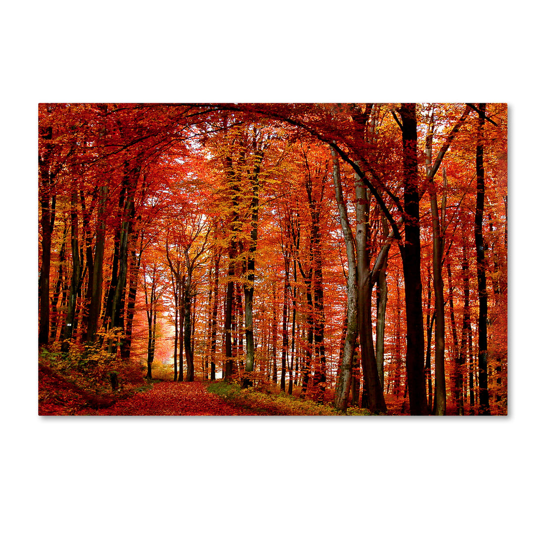 Philippe Sainte-Laudy The Red Way 14 x 19 Canvas Art Image 2