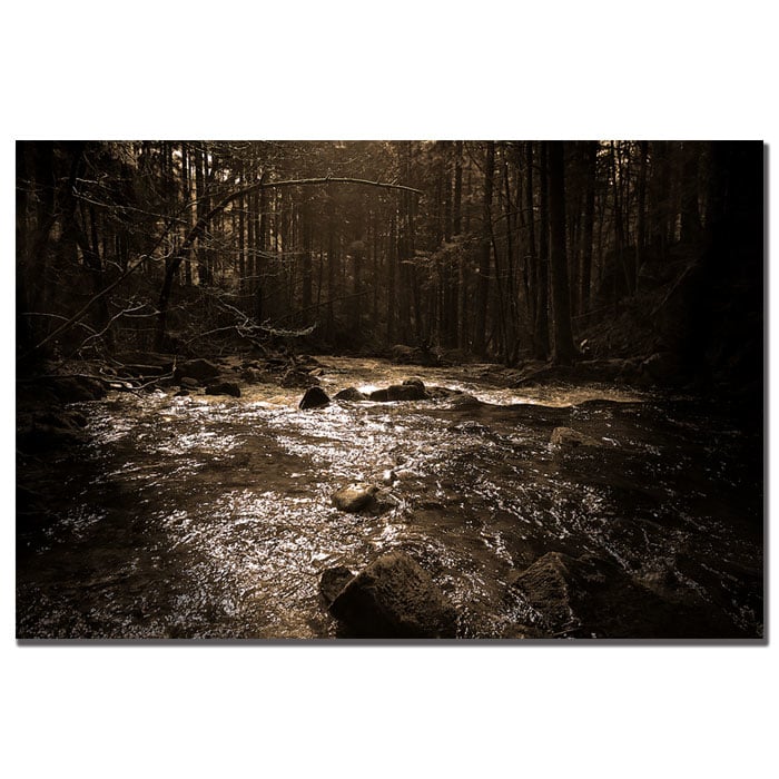 Philippe Sainte-Laudy The River 14 x 19 Canvas Art Image 1